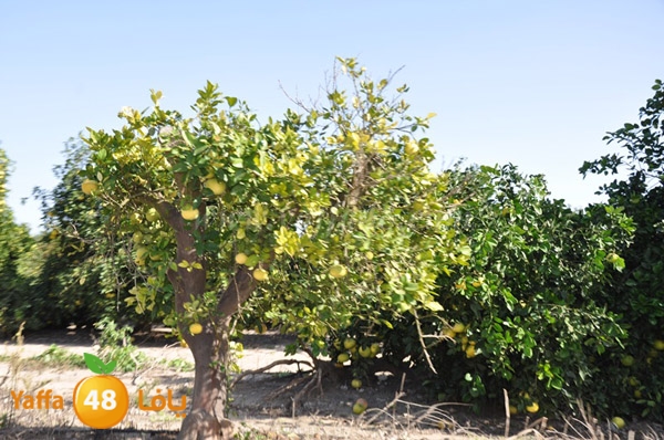 bayara visiting (12).JPG